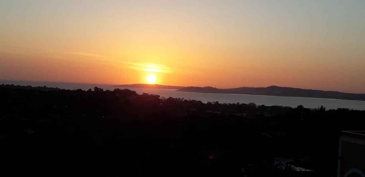 Les Restanques Du Golfe De Saint-Tropez - Pivoine 1040 - Vue Mer Panoramique Grimaud Εξωτερικό φωτογραφία